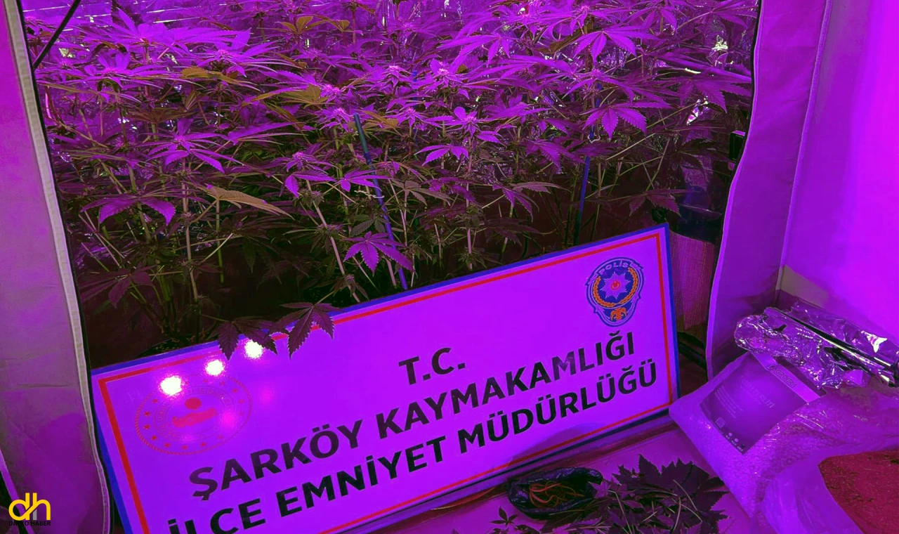 Evinde Uyuşturucu Yetiştiren Şüpheli Tutuklandı