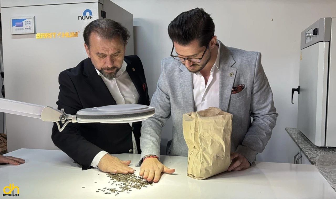 Hibrit Ayçiçeği Tohumunda Yeni Versiyon Tescillendi