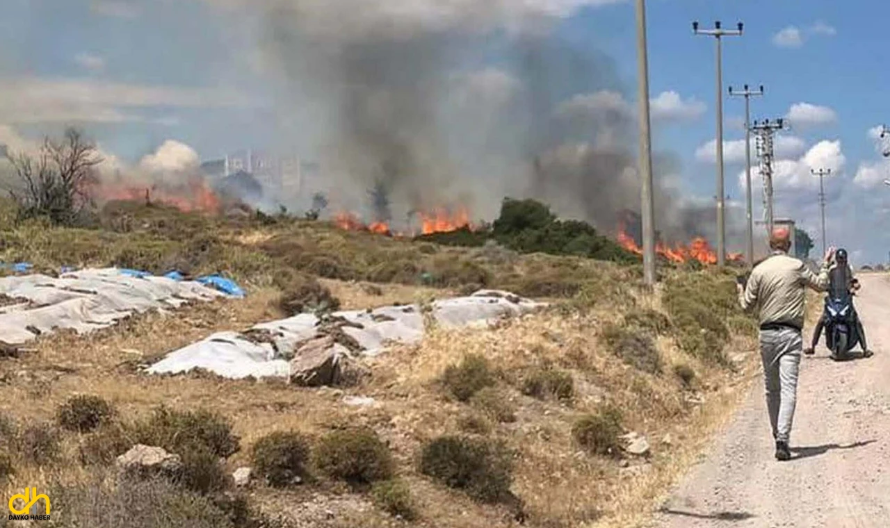 Çanakkale’de otluk alanda yangın çıktı