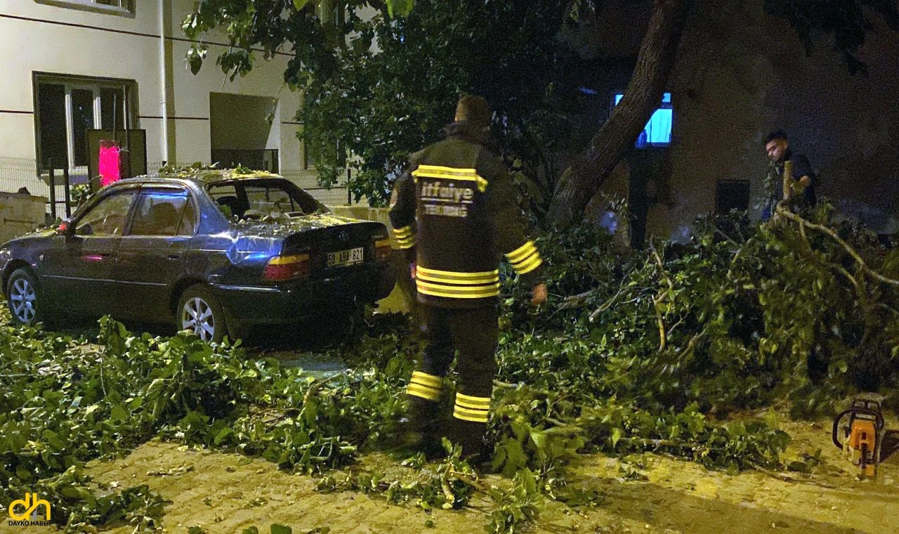 Çorlu’da otomobilin üzerine ağaç devrildi