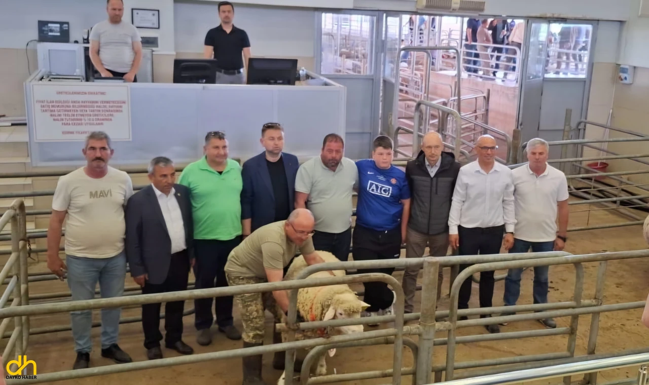 Edirne’de ilk kez ‘Koç ve Teke’ mezatı yapıldı