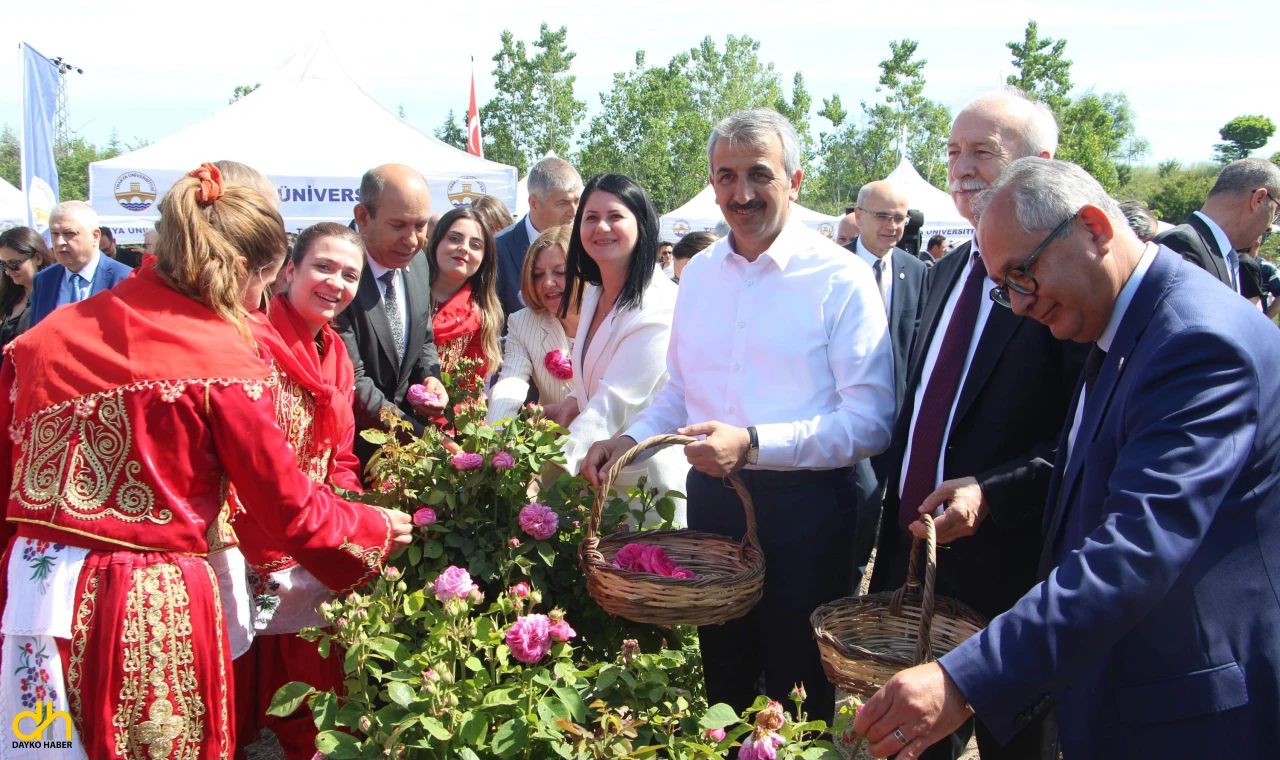 Kentin önemli simgelerinden Edirne gülü, törenle hasat edildi