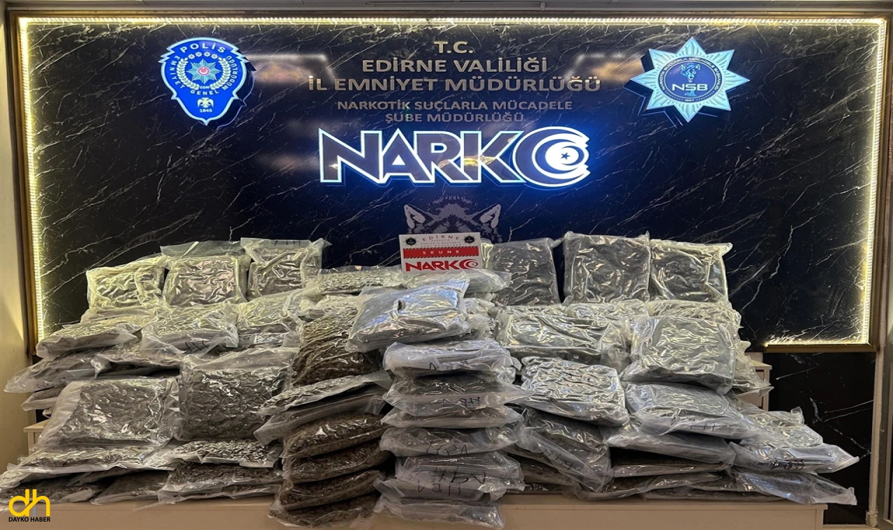 TIR'lardaki 128 kilo uyuşturucuyu 'Carlos' buldu