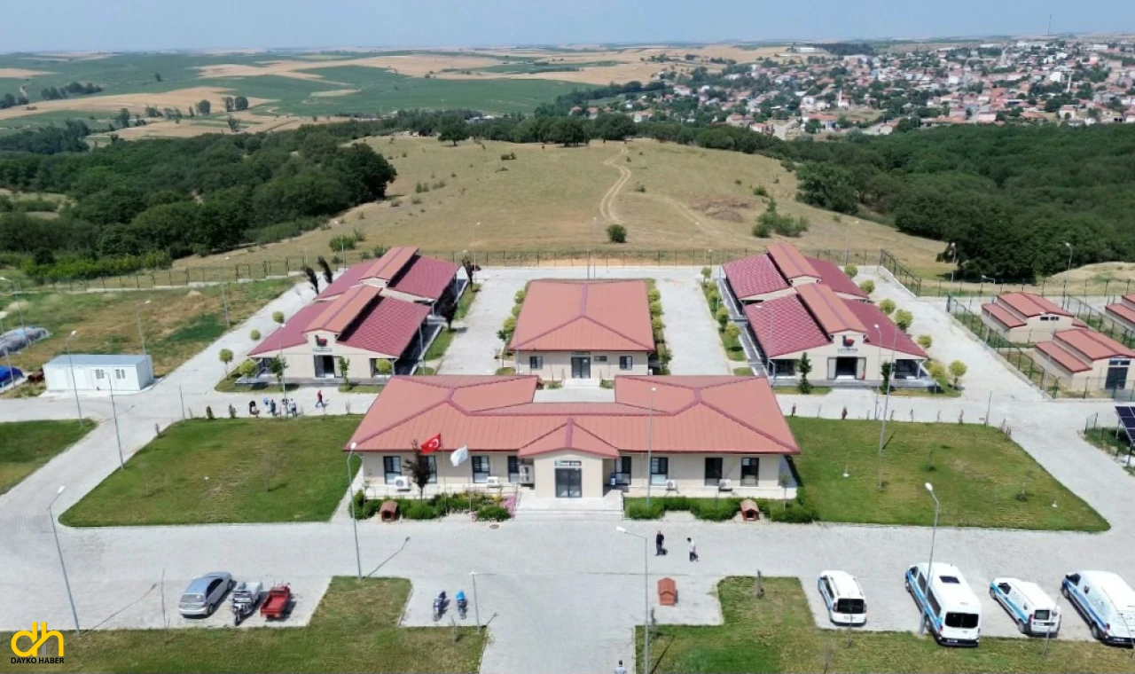 Büyükşehir sahipsiz hayvanlara umut oluyor