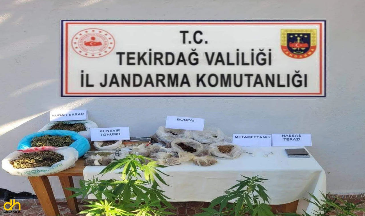 Evinde uyuşturucu ve tarihî obje ele geçirilen şüpheli gözaltında