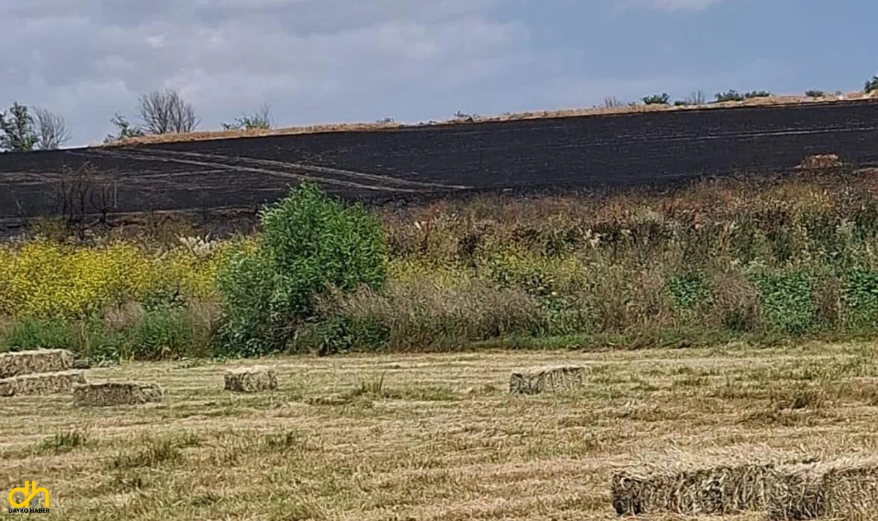 Yangınlar başladı, 100 dönüm buğday kül oldu