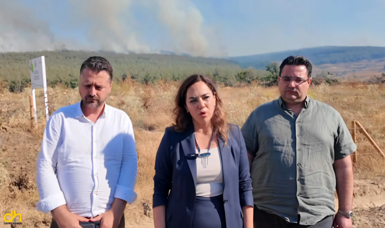 Başkan Yüceer'den çağrı: “havadan müdahale şart, acil destek bekliyoruz”