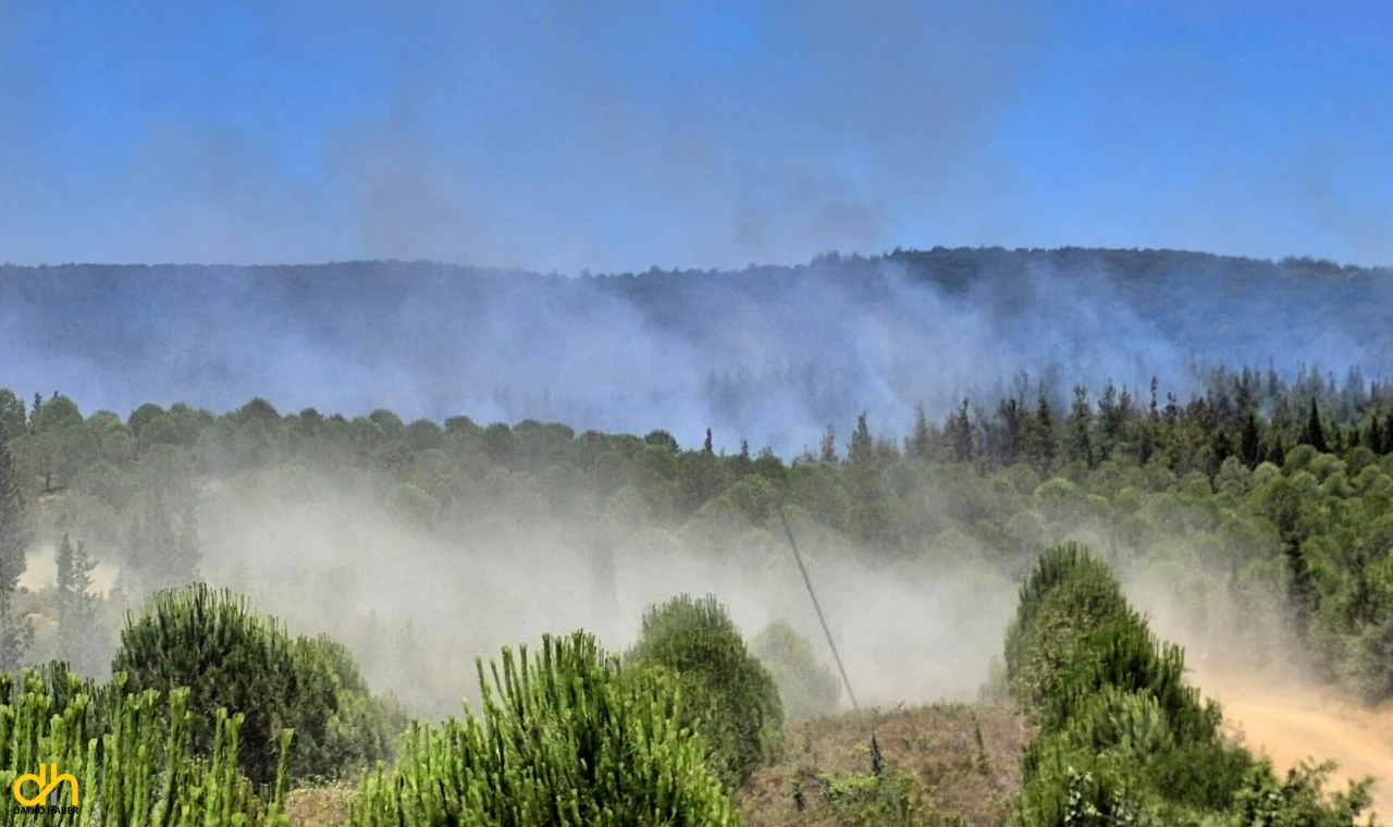 Çanakkale’de orman yangını