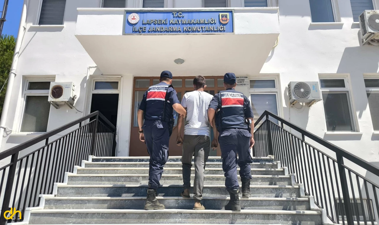 Çanakkale'deki orman yangında 1 kişi gözaltına alındı