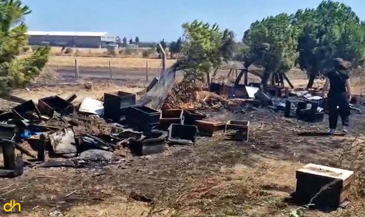 Anız yangınında 150 arı kovanı zarar gördü