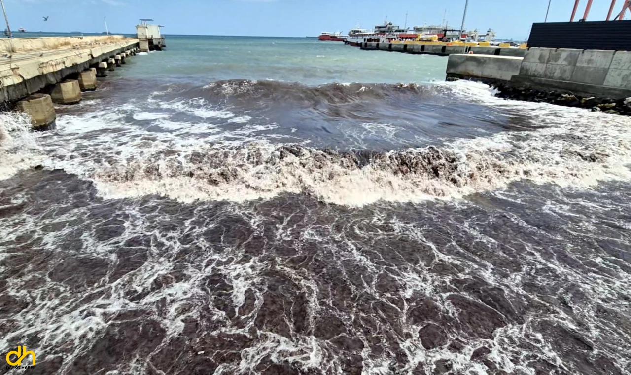 Deniz, kızıl yosunlar nedeniyle kırmızıya büründü
