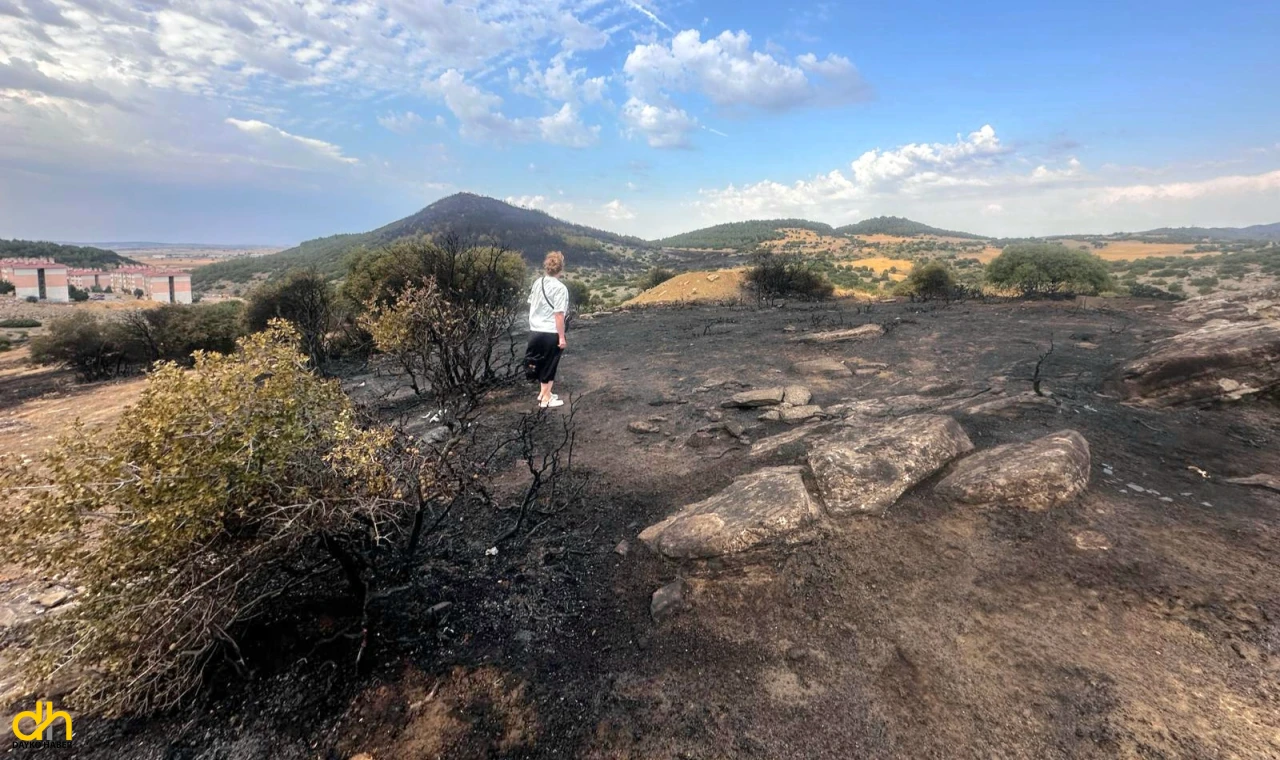 Edirne’deki yangında 13 hektar orman ve tarım alanı zarar gördü