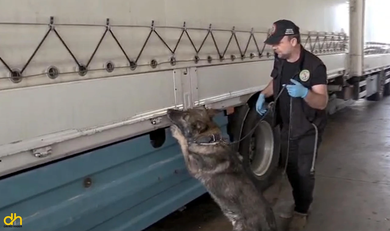 Narkotik köpeği Füge, yine es geçmedi