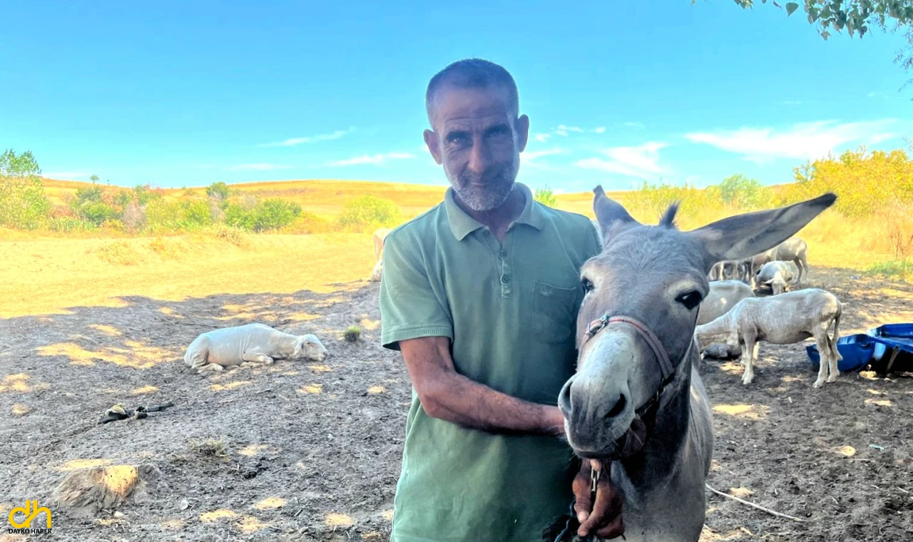 Otogarın maskotu ‘Kadife’, sahibine kavuştu