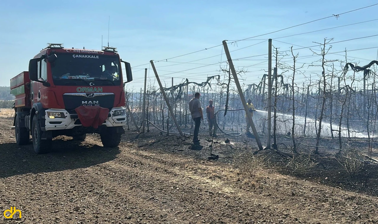 Tarım arazisinde çıkan yangında 1 sera kül oldu