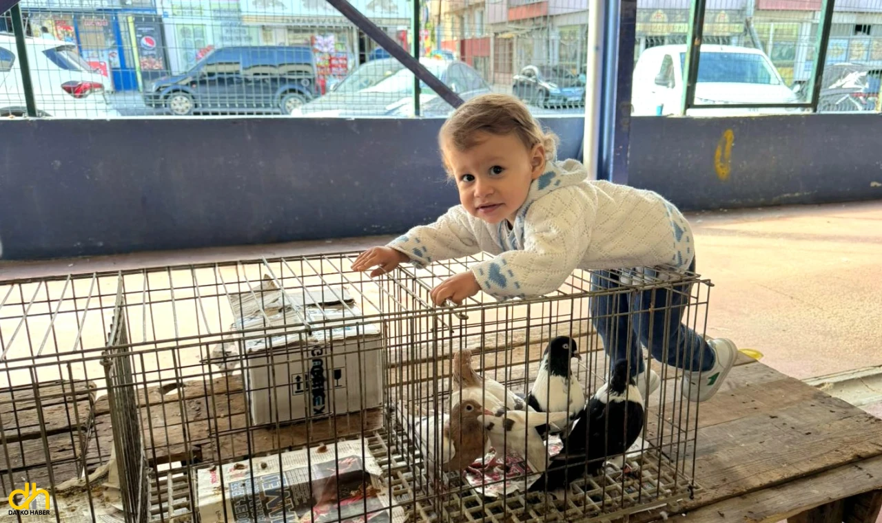 Güvercin pazarı çocukların ilgi odağı oldu