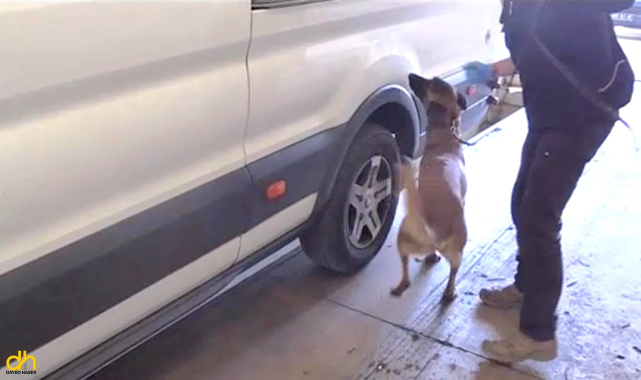 Kamyonetteki 36 kilo kokaini ‘Alfa’ buldu