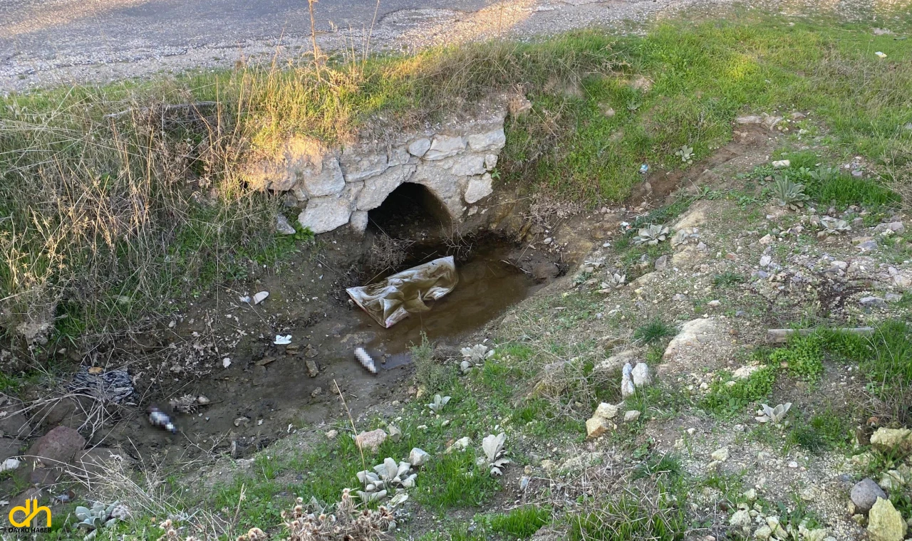 Boş arazide bebek cesedi bulundu