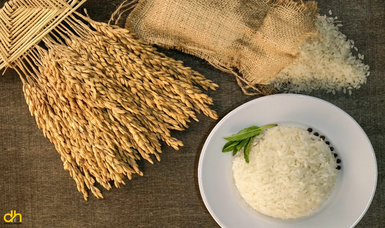 İpsala pirinci, AB Coğrafi İşaret Tescili aldı