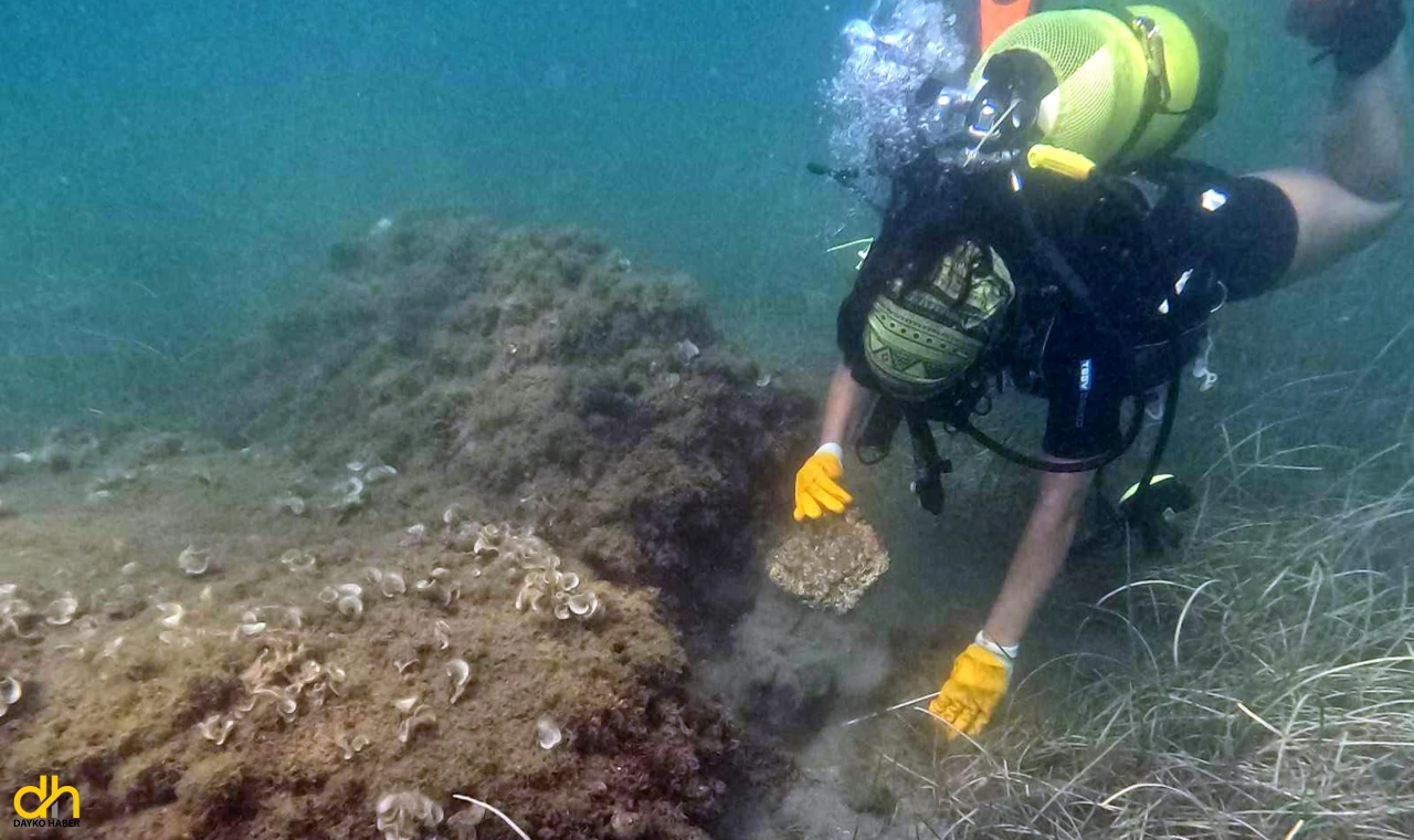 Perinthos Antik Kenti Mola Burnu’nda yeni buluntular elde edildi
