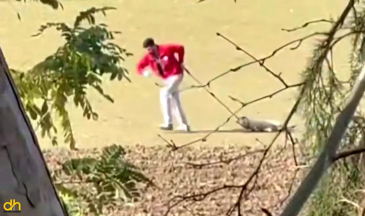 Sokak köpeğini iple sürükleyen belediye personeli adli kontrolle serbest