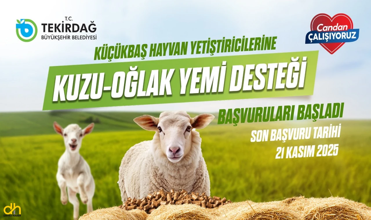 Yetiştiricilere kuzu-oğlak yem desteği başvuruları başladı