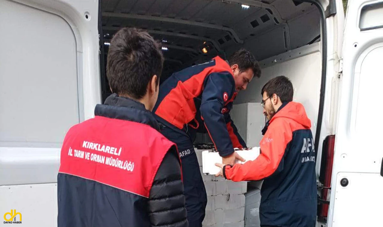 El konulan 3 ton istavrit ihtiyaç sahiplerine dağıtılacak