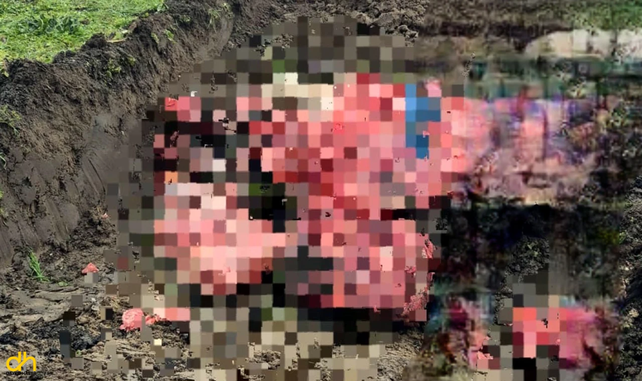 Menşei belli olmayan 1 ton hayvansal ürün imha edildi