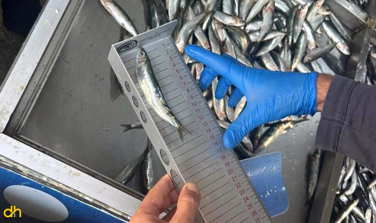 Şarköy’de balıkçılara yönelik denetim yapıldı