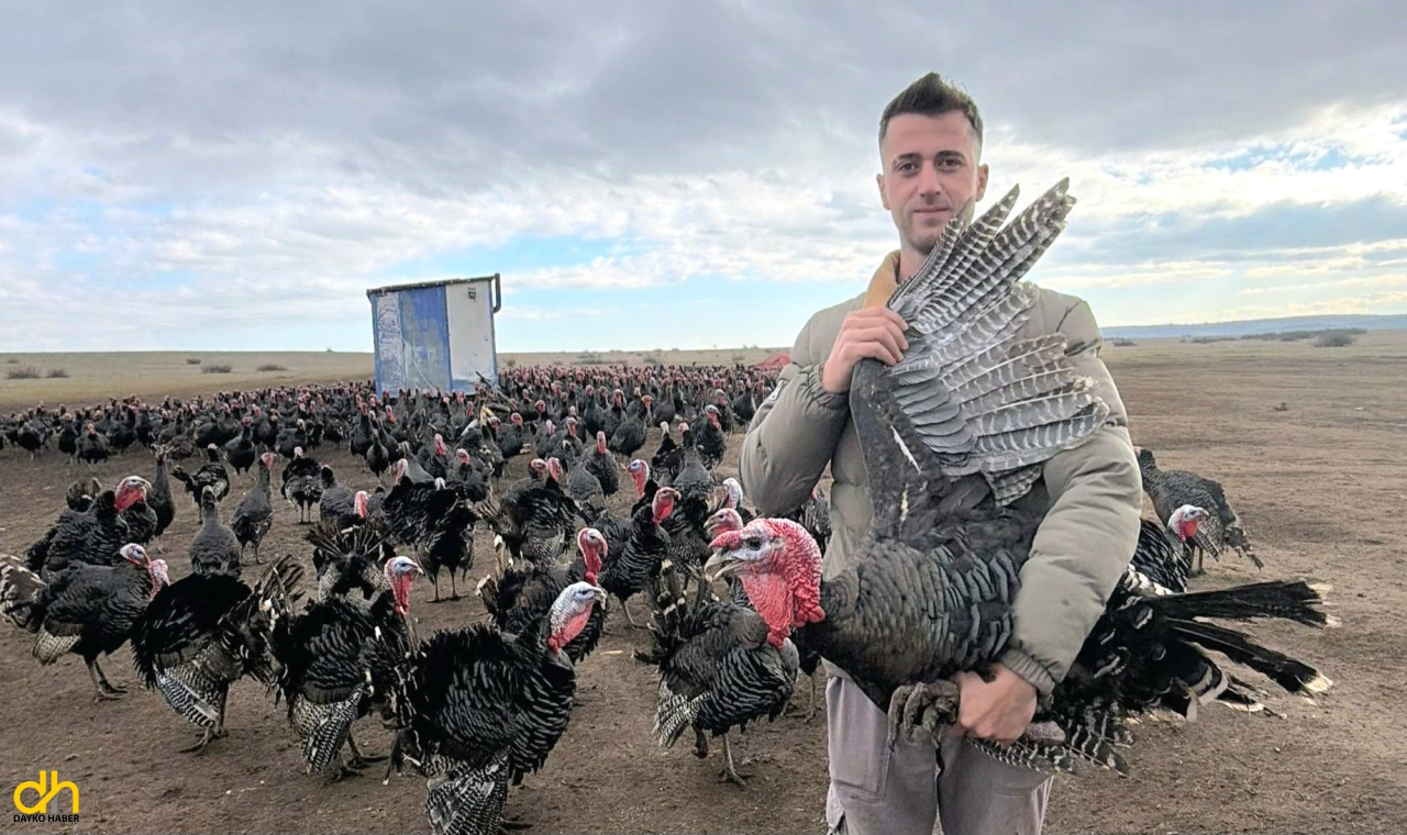 Yılbaşı öncesi hindi satışları arttı