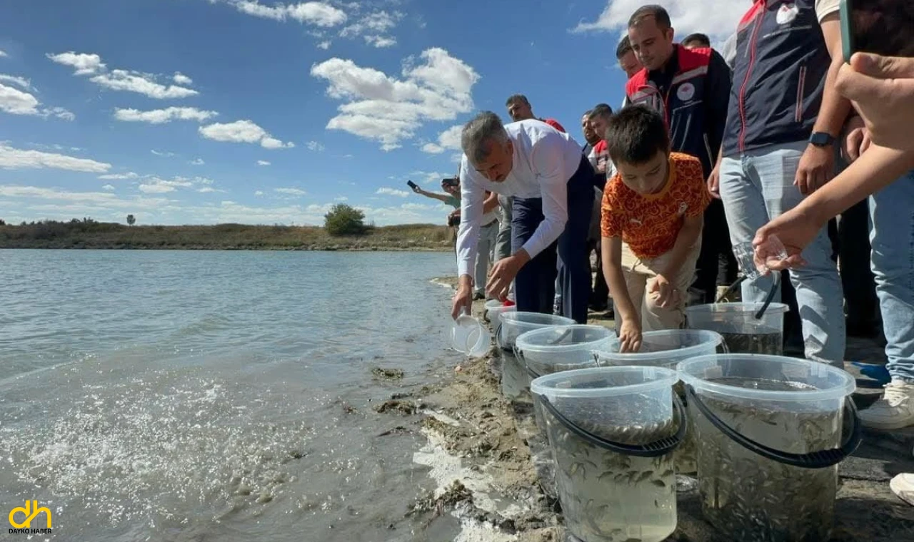 2025 yılında 10,5 milyon sazan yavrusu üretildi