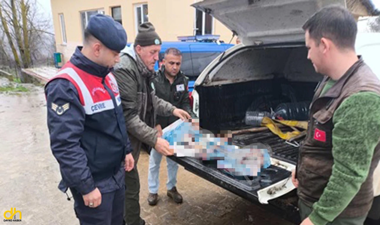 Karaca avlayan şahsa 50 bin lira ceza