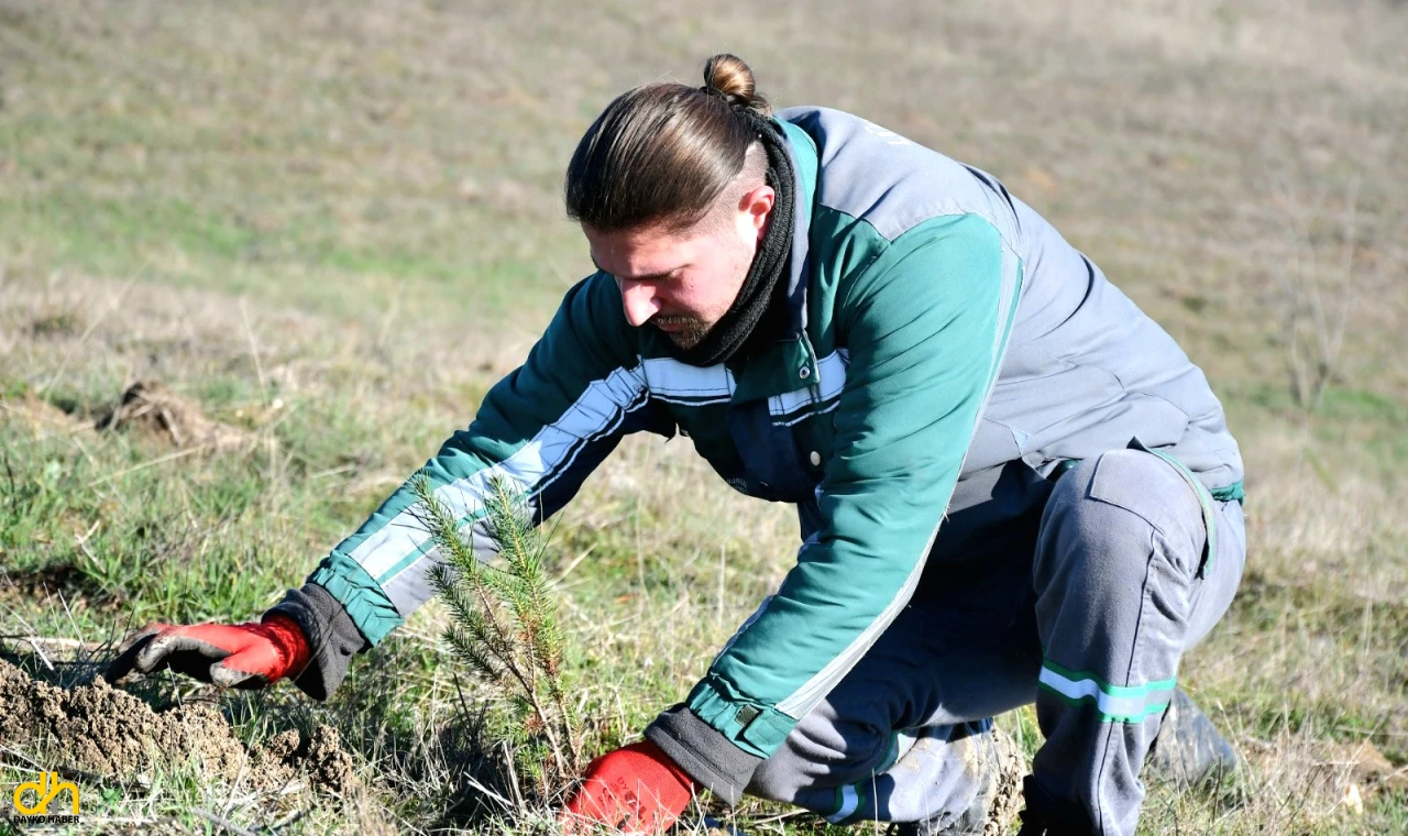 3 yılda 7 bin 761 fidan dikildi