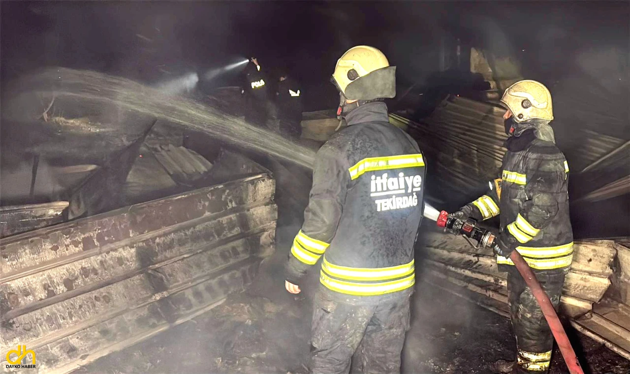 Çiftlikte çıkan yangınında, onlarca hayvan telef oldu