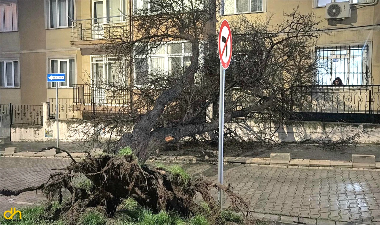 Fırtına nedeniyle Çorlu ve Marmaraereğlisi'nde çatılar uçtu, ağaçlar devrildi