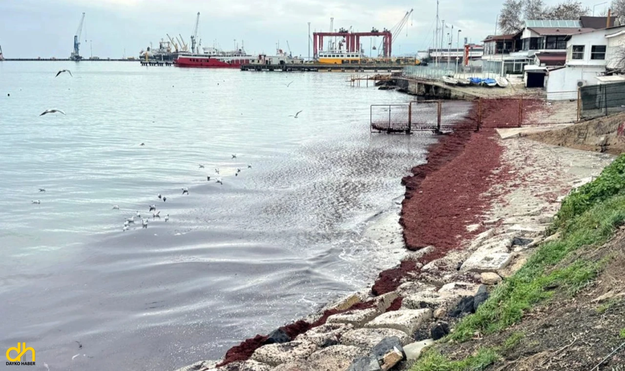 Tekirdağ’da deniz kıyıları kırmızı renge büründü