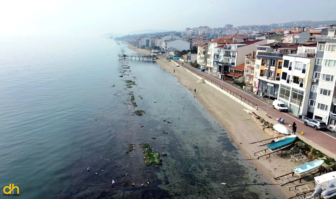 Deniz 7 metre çekildi; ‘Kral Yolu’ ortaya çıktı