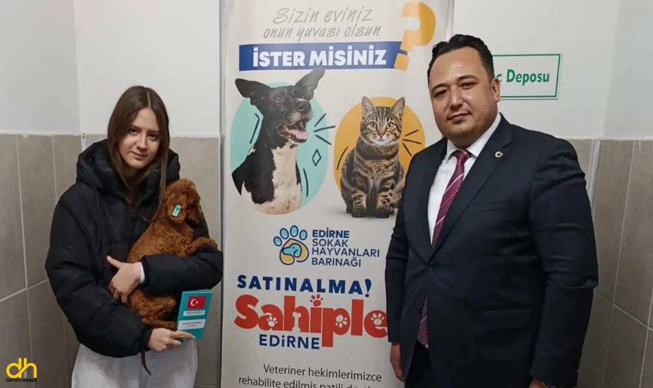 Düzenlenen operasyonda 88 köpek kurtarıldı