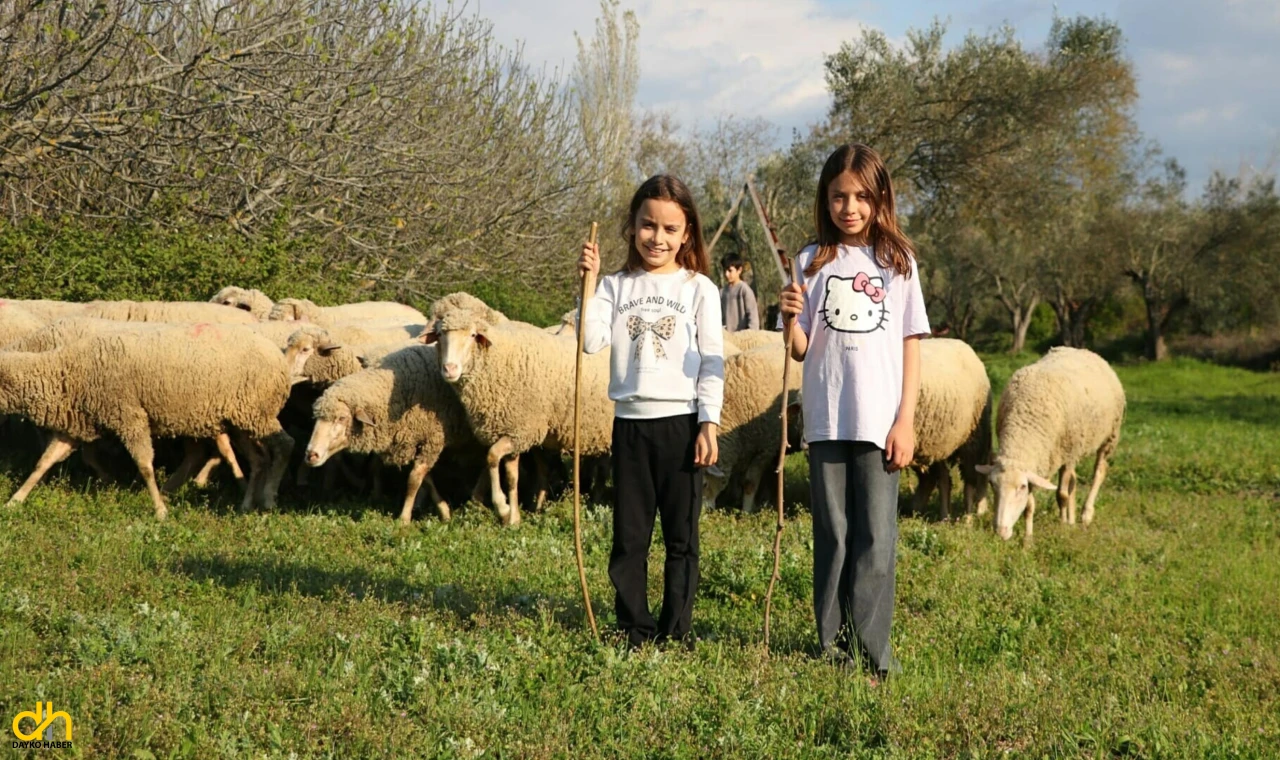 Boğazın Minik Çobanları