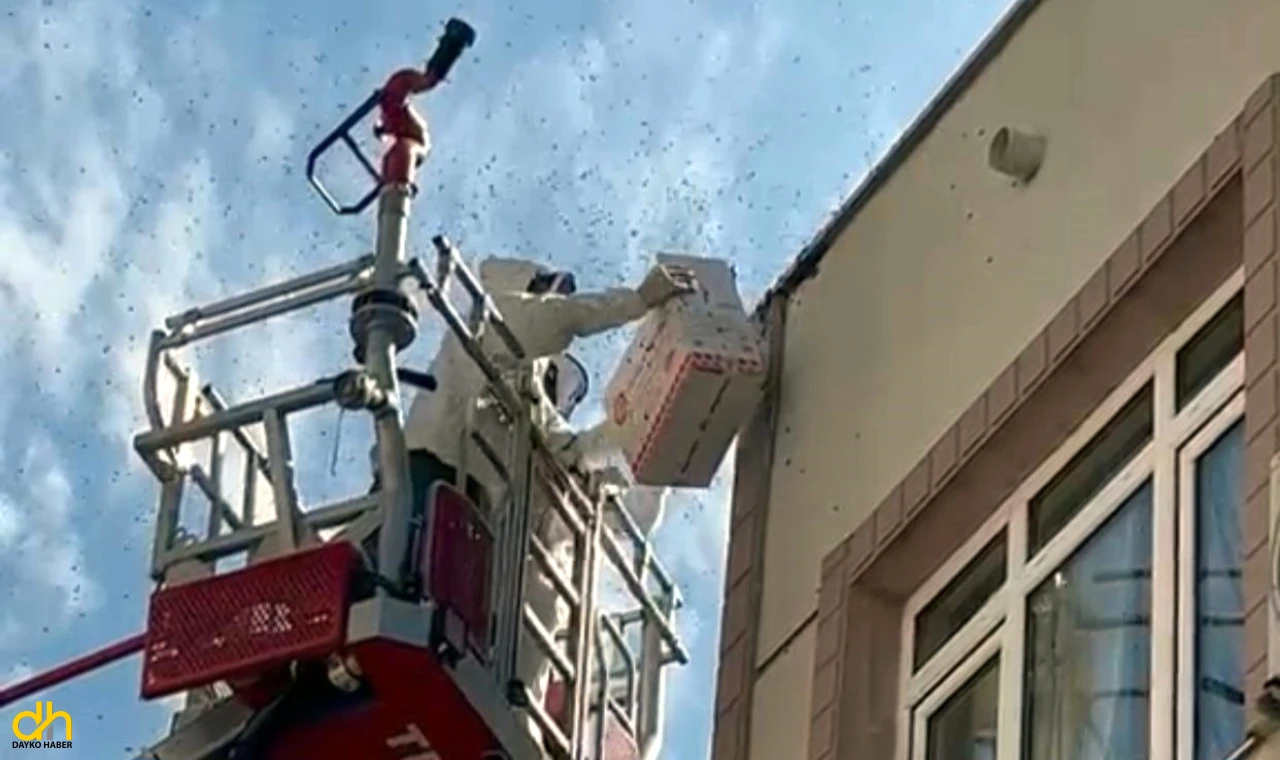 Oğul veren bal arıları nedeniyle yaya ve araç trafiği durdu