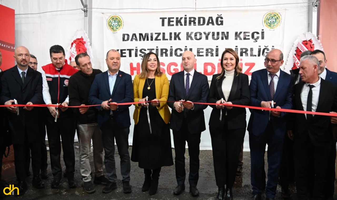Trakya’nın ilk Küçükbaş Hayvancılık Festivali Malkara’da başladı