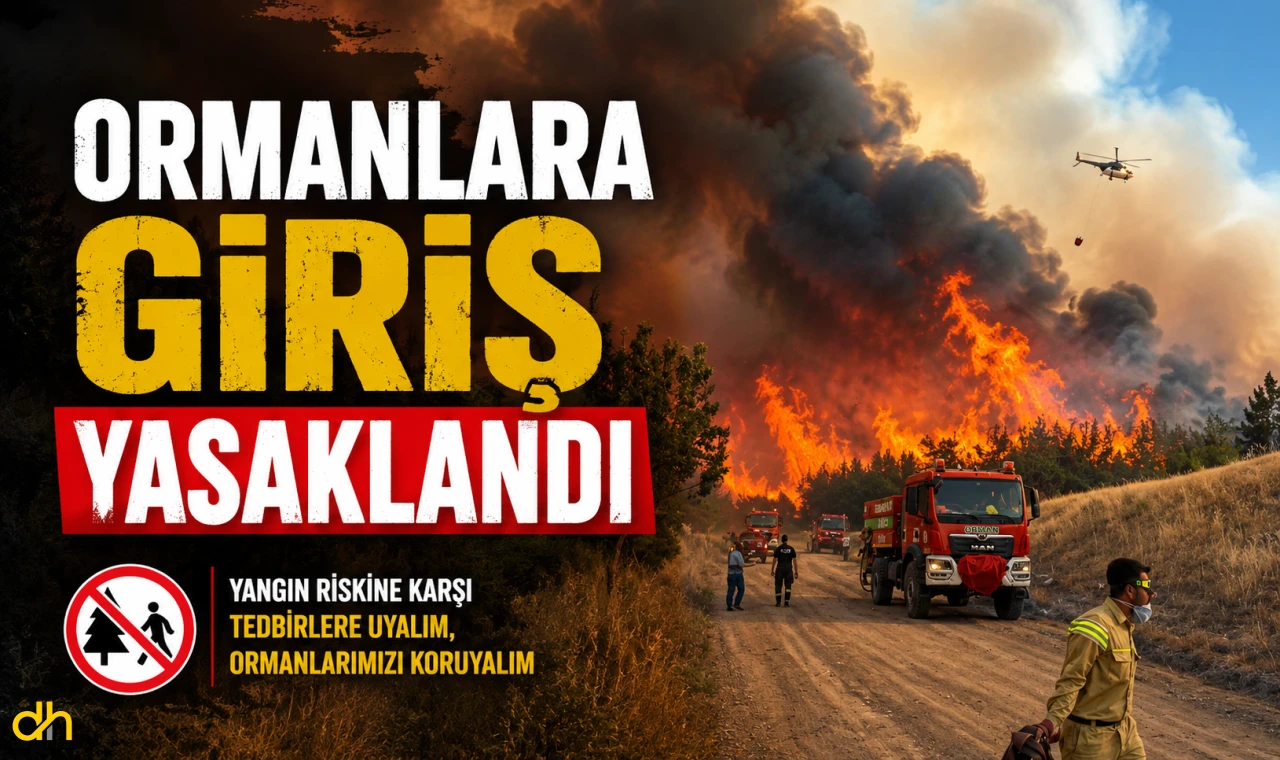 Ormanlara giriş yasaklandı