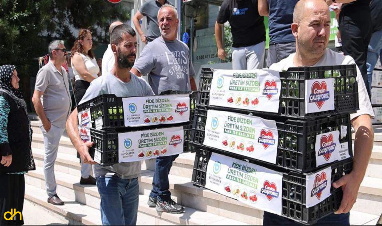 Büyükşehir Belediyesinden kışlık sebze üretimine destek