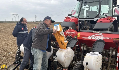 Tekirdağ’da 1 milyon 700 bin Dekar'da Ayçiçeği Üretimi Yapılacak