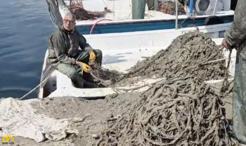 Tekirdağlı Balıkçılar Müsilaj Nedeniyle Sezonu Kapattı
