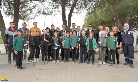 Vatandaşlara Ücretsiz Ihlamur Fidanı Dağıtıldı