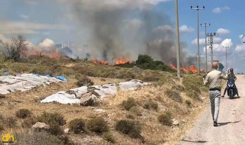 Çanakkale’de otluk alanda yangın çıktı