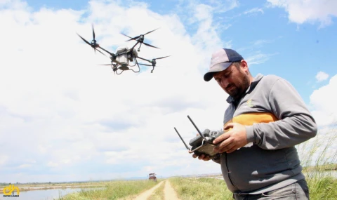 Çeltik ekimini dronla yaptılar