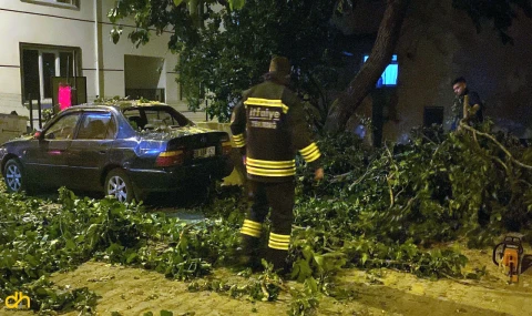 Çorlu’da otomobilin üzerine ağaç devrildi