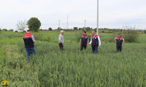 Doludan zarar gören tarlalarda hasar tespiti yapıldı